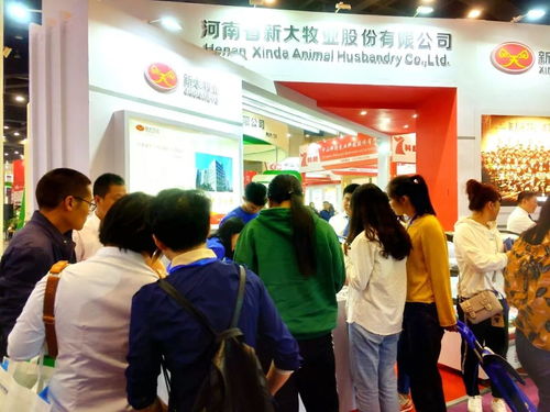 新大智道亮相中原畜牧業(yè)交易博覽會，信息咨詢服務(wù)引領(lǐng)養(yǎng)豬行業(yè)新變革